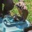 Makita LM004GU102 aku sekačka 430mm Li-ion XGT 40V 1x4Ah