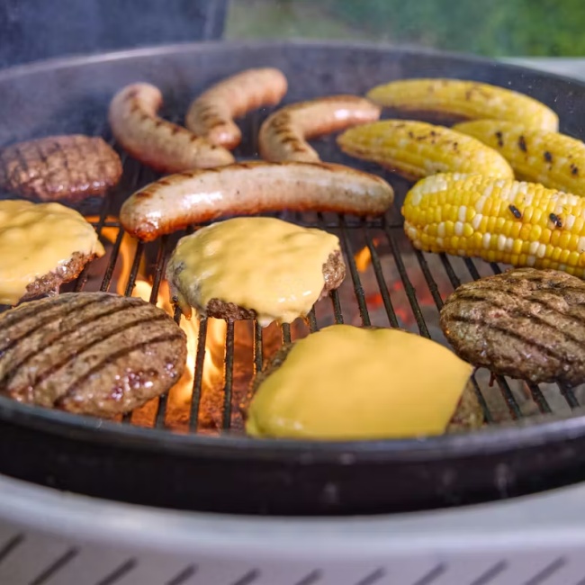 Weber 1501630 Performer 57 cm gril na dřevěné uhlí