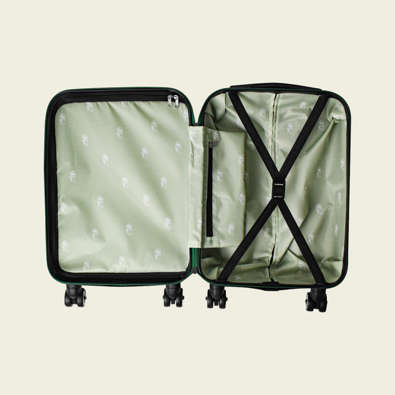 Big Green Egg cestovní kufr 743924