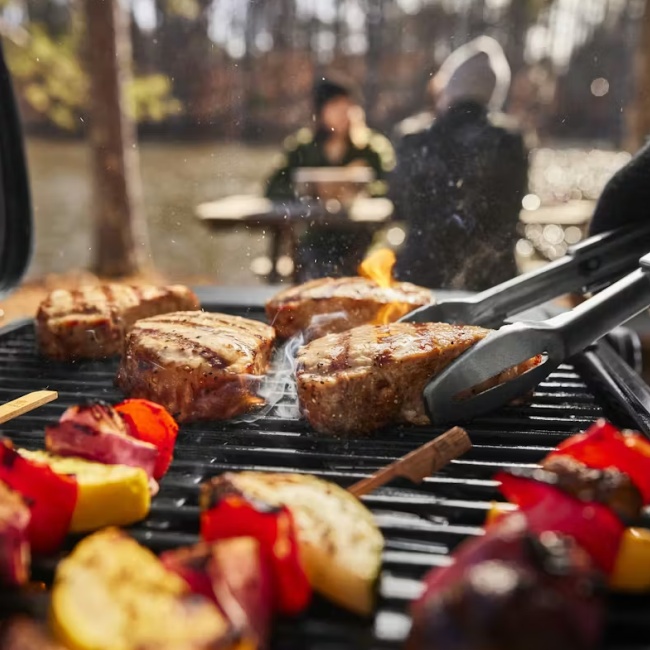 Weber 1500527 Traveler Compact přenosný plynový gril