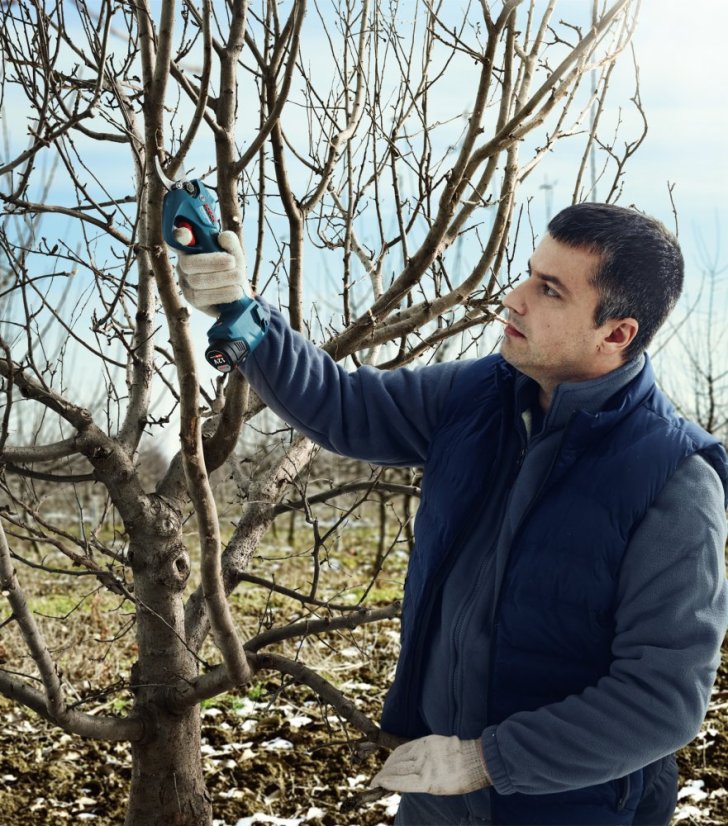 Bosch aku zahradní nůžky Pro Pruner 12V 2x3Ah 0.601.9K1.021
