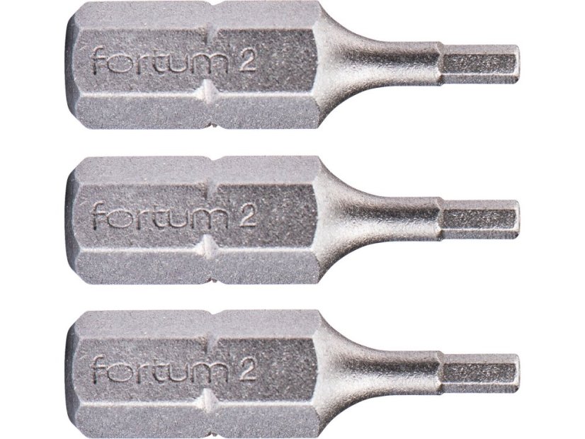 FORTUM 4741502 hrot imbus sada 3ks, H 2x25mm, S2