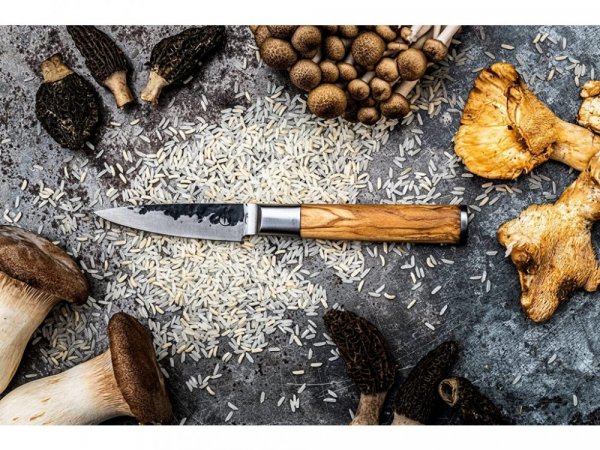 FORGED Olive - okrajovací nůž 8,5 cm