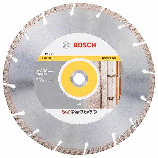 Bosch Dia kotouč Standard for Universal 300 x 22,23 x 3,3 mm, 1ks