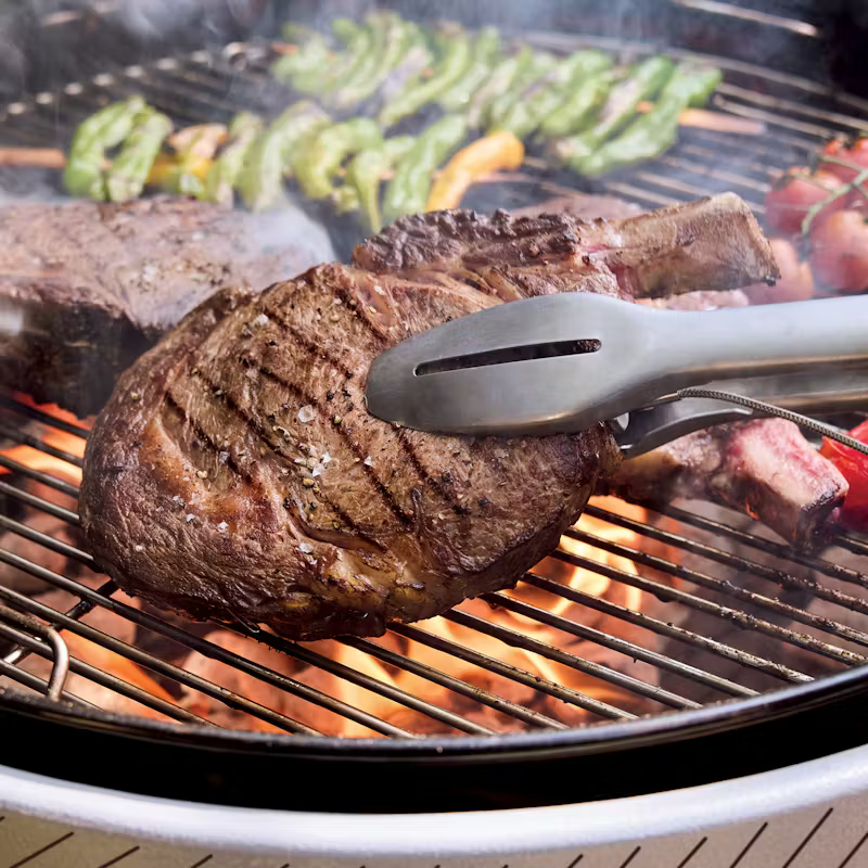 Weber 1501631 Performer 57 cm gril na dřevěné uhlí