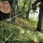 Dewalt DCMASBC1N křovinořezový nástavec pro motorovou jednotku Split Boom DCMAS5713
