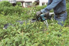 Makita DUH606Z aku plotostřih 600mm Li-ion LXT 18V bez aku Z