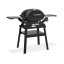 Weber 1501064 Q 2200N plynový gril s postranními stolky a stojanem