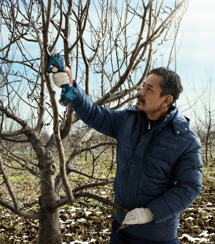 Bosch aku zahradní nůžky Pro Pruner 12V 2x3Ah 0.601.9K1.021