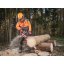 Milwaukee M18 F2CHS50-0 aku řetězová pila 50 cm 2x18V bez aku 4933480120