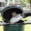 Big Green Egg convEGGtor pro Medium 401038