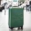 Big Green Egg cestovní kufr 743924