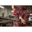 Milwaukee M12 FBFL13-0 aku pásová pilníková bruska 13 mm bez aku 4933480960