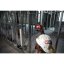 Milwaukee M12 CLLP-301C zelený kombinovaný křížový liniovo-bodový laser 1x 3Ah 4933478100