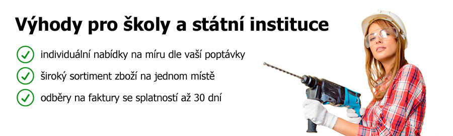 Elvin.cz - vyhody pro skoly a instituce